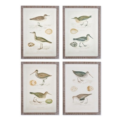 Plum & Post Coastal Birds Study Set of 4