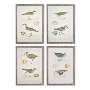 Plum & Post Coastal Birds Study Set of 4 - 1 of 3