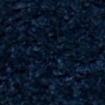 navy/ivory
