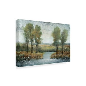 Trademark Fine Art -Tim Otoole 'Stream Side Ii' Canvas Art - 1 of 4