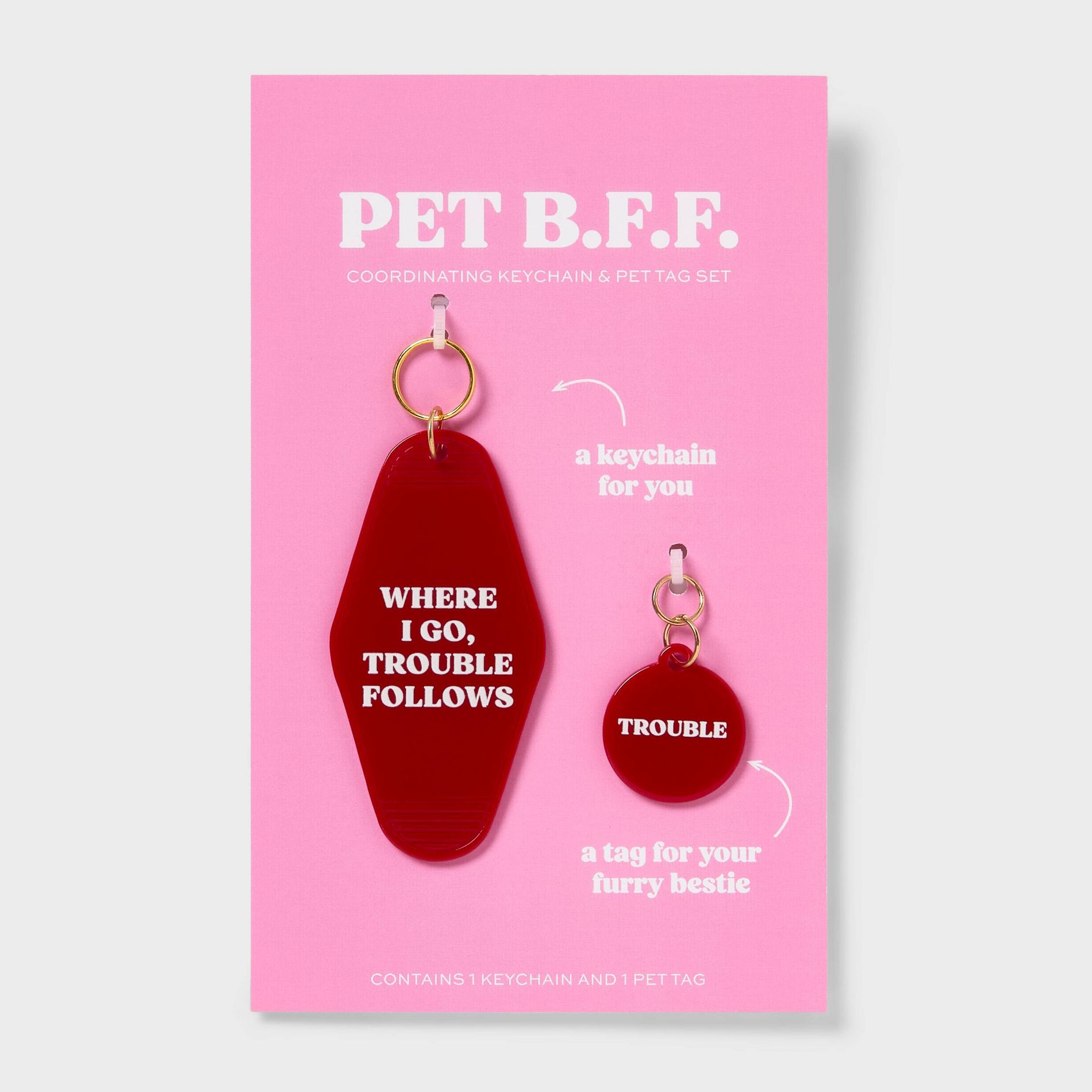 Valentine's Day Pet Matching Keychain and Pet Tag - Spritz™