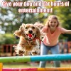 Dog Cat Toys Balls,Interactive Rolling Ball Cat Toy, 360° Smart Automatic Rolling Pet Ball, Fast Moving Toy for Dog and Cat - 3 of 4