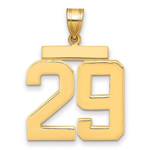 Black Bow Jewelry 14k Yellow Gold, Athletic Collection, Large Polished Number 29 Pendant - 1 of 3