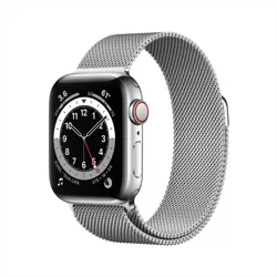 Apple Watch Series 6 GPS + Cellular Stainless Steel with Milanese Loop