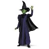 Toddler Deluxe Wicked™ Elphaba Purple Dress Costume - 3T-4T - 2 of 4