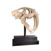 Design Toscano Saber-toothed Tiger Skull Artifact - 2 of 4