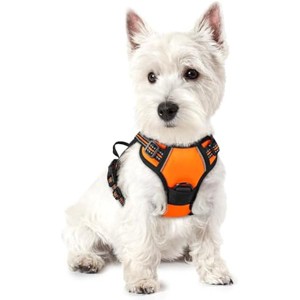 rabbitgoo Dog Harness No Pull with 2 Leash Clips, Oxford No Choke Pet Vest with Easy Control Handle for Puppy, Orange,XS - 1 of 1