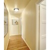 Access Lighting Atom 1 - Light Flush Mount in  Brushed Steel - 4 of 4