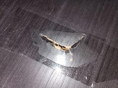 Guest review image 1 of 1, zoom in