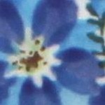 kalina service for 4 (16pc)