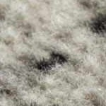 black, light gray, medium gray, charcoal, off white