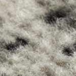 black, light gray, medium gray, charcoal, off white