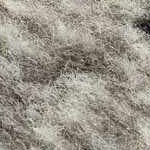 black, light gray, medium gray, charcoal, off white