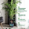 2PC Tall Round Tapered Planter, Indoor/Outdoor Self Watering Pots, Large Flower Pot Outdoor with Built-in Drainage and a Water Level for Home - 2 of 4