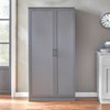 Tall Storage Cabinet Charcoal Gray - Buylateral