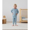 Long Sleeve Pajamas 1.0 TOG Dragonflies - 2 of 4