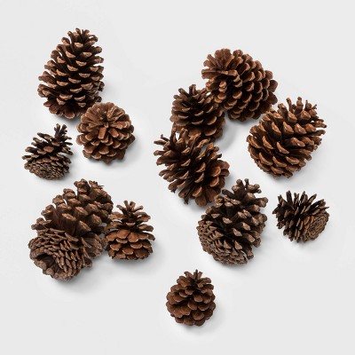 12ct Cinnamon Scented Artificial Christmas Pine Cones - Wondershop™