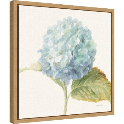Blue Hydrangea Floral Canvas Print with Maple Frame