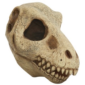 Adults Tyrannosaurus Rex Dinosaur Skull Mask - 1 of 1