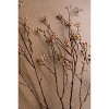 Artificial Budding Branch Stem – 40" Tall Brown Faux Floral Accent, Set of 6 by Kalalou - 2 of 3