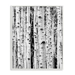 Stupell Industries Birch Trees Forest, 30" x 24" - 1 of 4