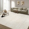 Machine Washable Area Rug With Non-Slip Backing Stain Resistant Easy Cleaning Indoor Carpet For Living Room Bed Dining Room Playroom Office - 4 of 4
