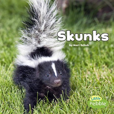 Skunks - (Black and White Animals) by  Mari Schuh (Paperback)