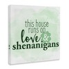 Stupell Industries Love & Shenanigans Family Shamrock Phrase Canvas Wall Art - 3 of 4