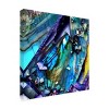 Tina Lavoie 'Geology 101 Part Eight' Canvas Art - 2 of 4