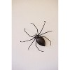 Halloween Spider Decoration – Black Spider Figurine by Kalalou - 4 of 4