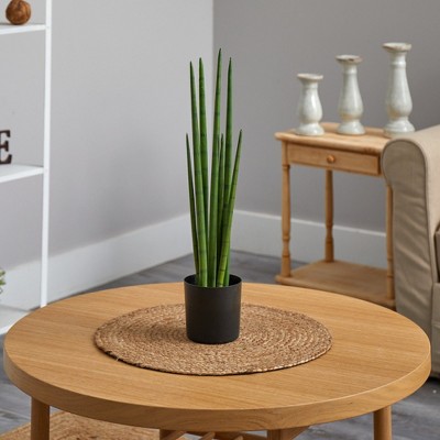 Autumn Bliss 25" Outdoor Potted Faux Snake Plant
