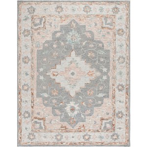 Anatolia AN301 Hand Tufted Indoor Rugs - Safavieh - 1 of 4