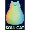 Boy's Soul Rainbow Cat T-Shirt - 2 of 4