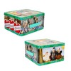 Toynk The Golden Girls Cast Retro Metal Tin Lunch Box Tote | Toynk Exclusive - 2 of 4