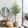 Artificial eucalyptus, imitation eucalyptus with tall stem, artificial plant with realistic silk leaves, suitable for indoor and outdoor decoration. - 4 of 4
