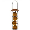 C&S Suet Ball Bird Feeder for Wild Birds, Holds 4 Suet Balls, Copper - 2 of 4