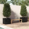 vidaXL Garden Planters 2 pcs Black 23.6"x23.6"x23.6" Solid Wood Pine - 2 of 4