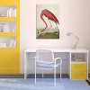  American Flamingo by John James Audubon Unframed Wall Canvas - iCanvas - 3 of 3