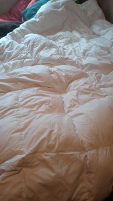 Guest review image 1 of 2, zoom in