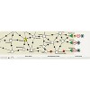 Rio Grande Games: Prairie Railroads - Train Strategy Board Game, Ages 14+ - 4 of 4