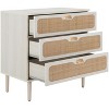 Irelia 3 Drawer Chest - CHS9602 - Safavieh - 4 of 4