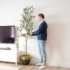 Sunnydaze Artificial Olive Tree Tall Faux Silk Plant for Indoor Spaces in Black Planter Base - 2pk - 2 of 4