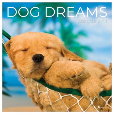 2022 Wall Calendar Dog Dreams - The Time Factory