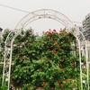 Metal Garden Arch Assemble Freely with 8 Styles Garden Arbor Trellis Climbing Plants Support Rose Arch Outdoor Arch Wedding Arch Party Events Archway - 3 of 4