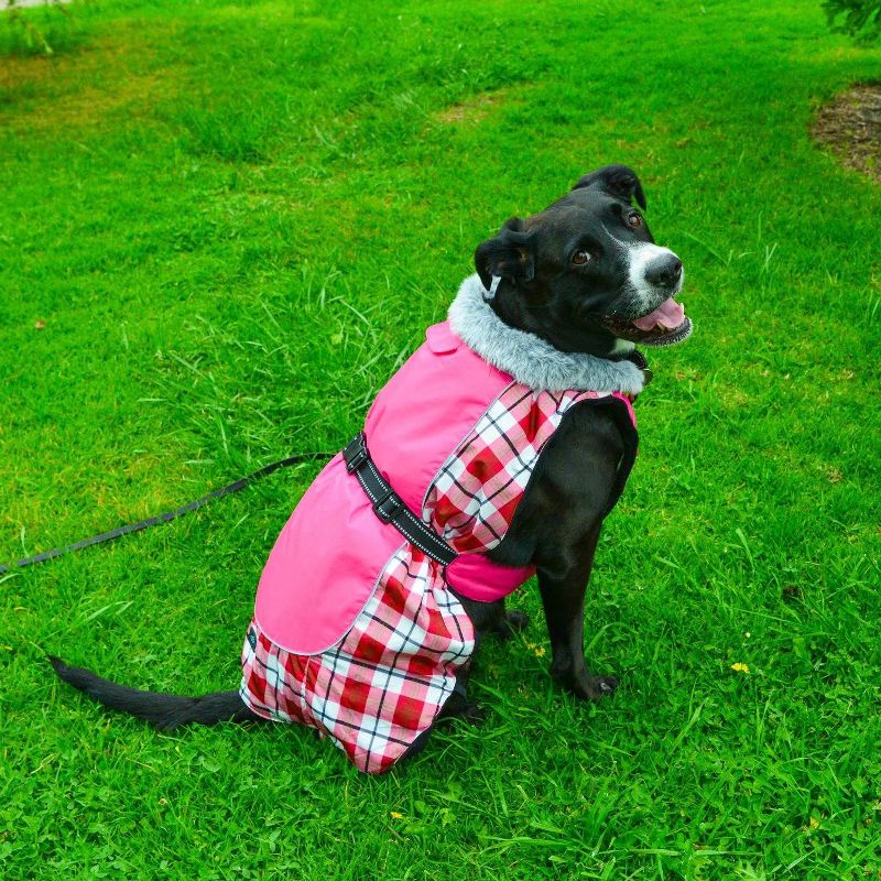 Alpine All-Weather Dog Coat - Raspberry Plaid, 4 of 6