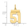 Black Bow Jewelry 14k Yellow Gold, Athletic Collection, Small Polished Number 51 Pendant - 4 of 4
