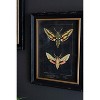 Framed Wall Art, Moth Prints Under Glass 18"H – Black Framed Insect Art, Set of Two by Kalalou - 3 of 3