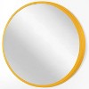 20" Calliope Matte Meadow Wall Mirror - Infinity Instruments - 4 of 4