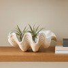 Decorative Clam Shell Bowl for Coffee Table Decor - Costal Inspired Bowl for Centerpiece Table Decorations or Home Decor Accents - 3 of 4