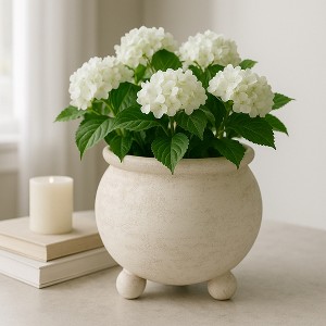 Cement Tripod Feet Texture Pots for Home Decor - Round Pot for Indoor and Outdoor Use - House, Patio, and Garden Decor - 9" Ivory - 1 of 4